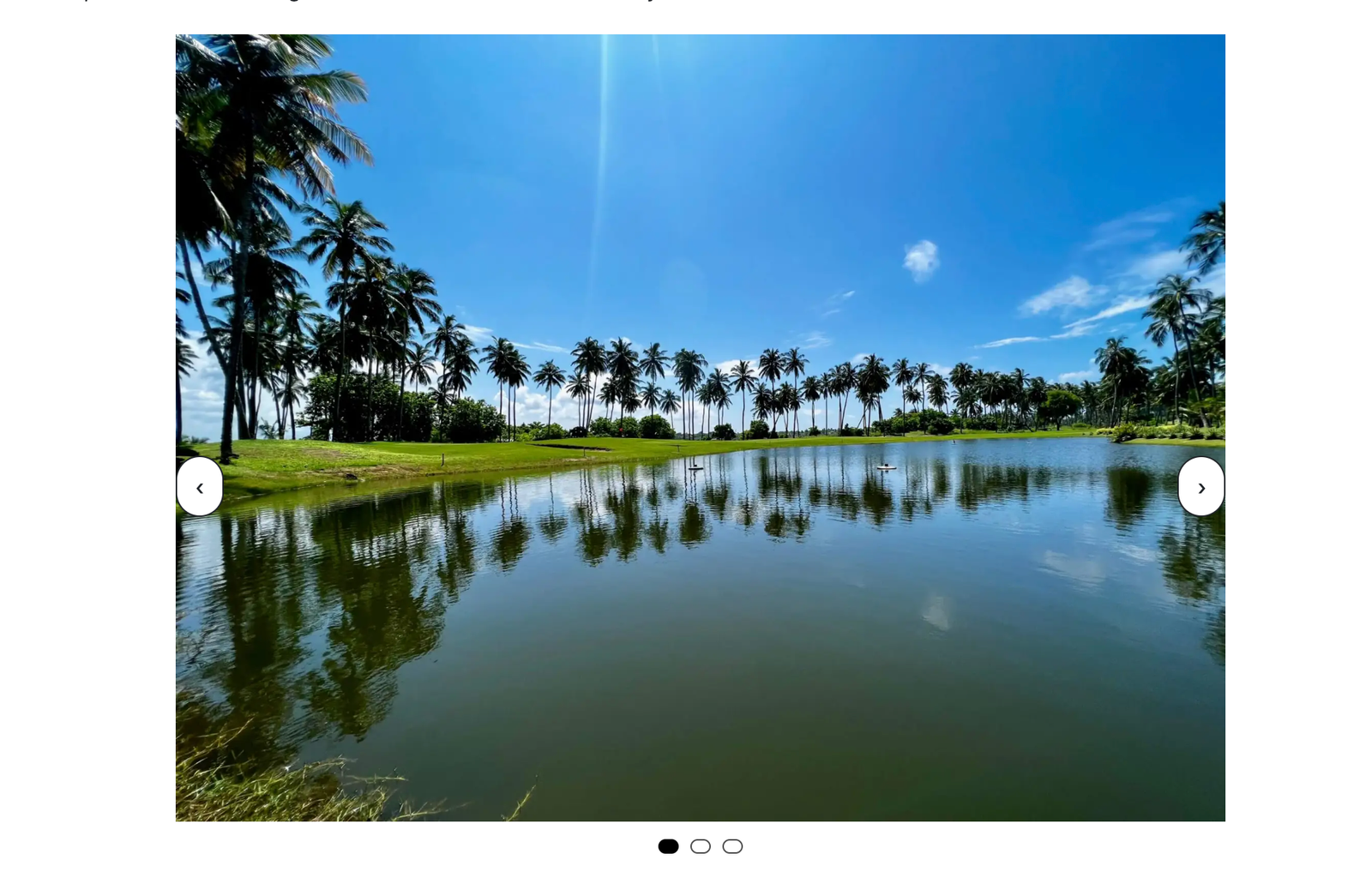 Create an Image Slider using your WordPress Core Blocks